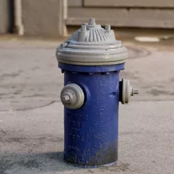 Blue and white fire hydrant