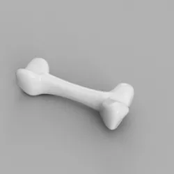 Bones for dogs