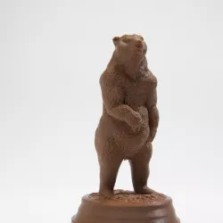 Brown Bear (Ursus arctos)