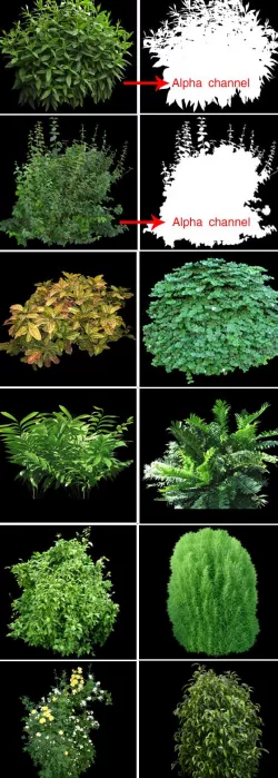 Bushes(alpha chennels)pack
