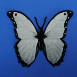 Butterfly Pendant