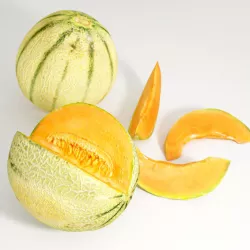 CANTALOUPE MELON