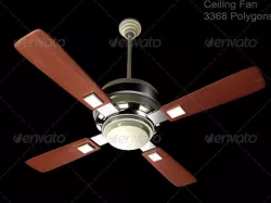 Ceiling Fan