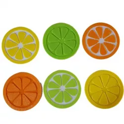 Citrus Fruit Slice Coaster