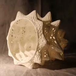 Coral's Song - Voronoi Strucutre