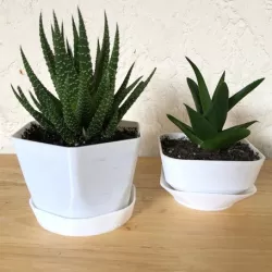 Customizable Polygonal Planter