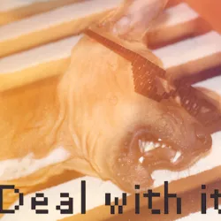 DEAL WITH IT - Shades