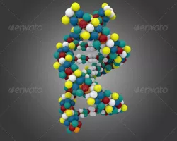 DNA Model