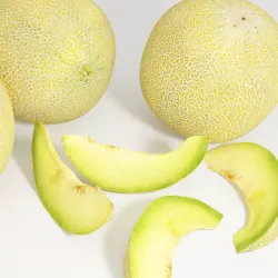 GALIA MELON