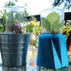 Greenhouse Mini DIY