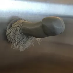 Hairy Penis