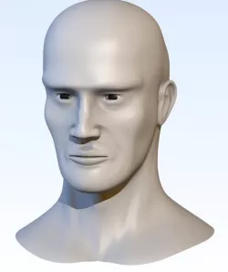 Head base mesh