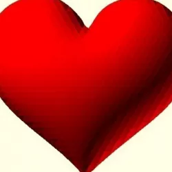 Heart, flat on one side