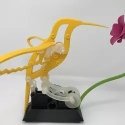 Hummingbird