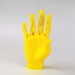 Jointed Hand