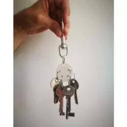 Key organizer/holder