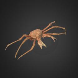 osrs king sand crab 3d models 【 STLFinder