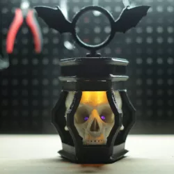 LED Skull Lantern
