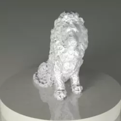 Lions