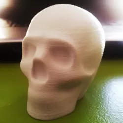 Lisa the printable skull