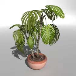 Low-poly Plant "Philodendron"