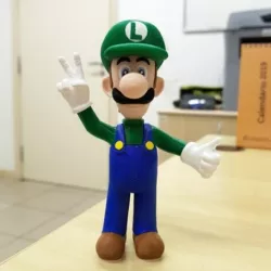 Luigi from Mario games - Multi-color