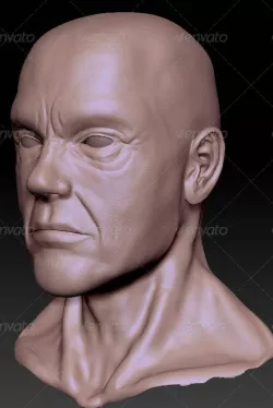 Male Bust