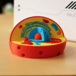 Multi-Color Cell Model