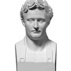 Napoleon bust