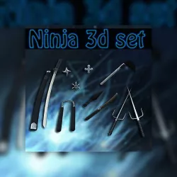 Ninja set