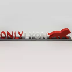 Only Lyon