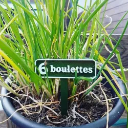 Panneaux potager Jeux de mots "6 boulettes"