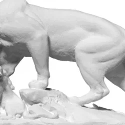 Panther