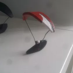 Paraglider