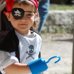Parametric Pirate Hook