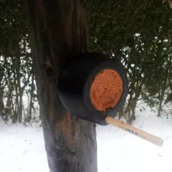 Peanut Butter Bird Feeder