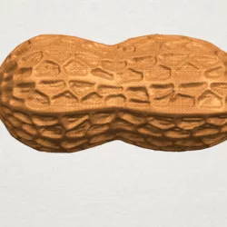 Peanut