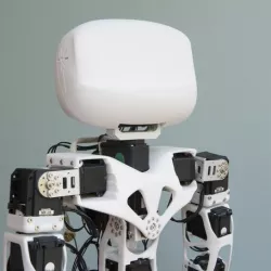 Poppy Humanoid