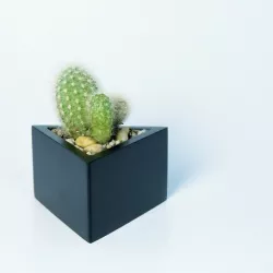 Prisma planter