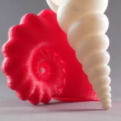 Project Shellter - Turritella