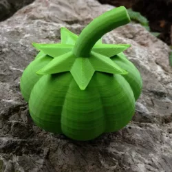 Pumpkin / Pumpkin