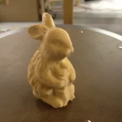 Rabbit Habbit