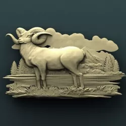 Ram