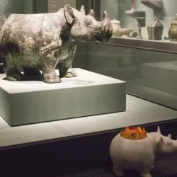 Rhino vessel