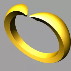 ring 1