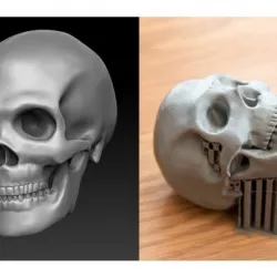 Skull