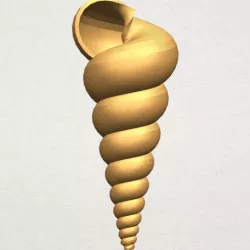 spiral shell
