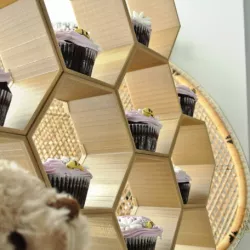 Stackable Honeycomb Display