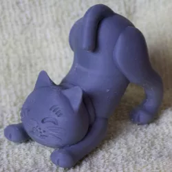stretch cat