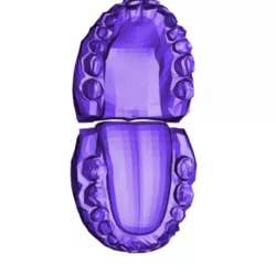 Teeth